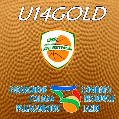 logo under 14 gold